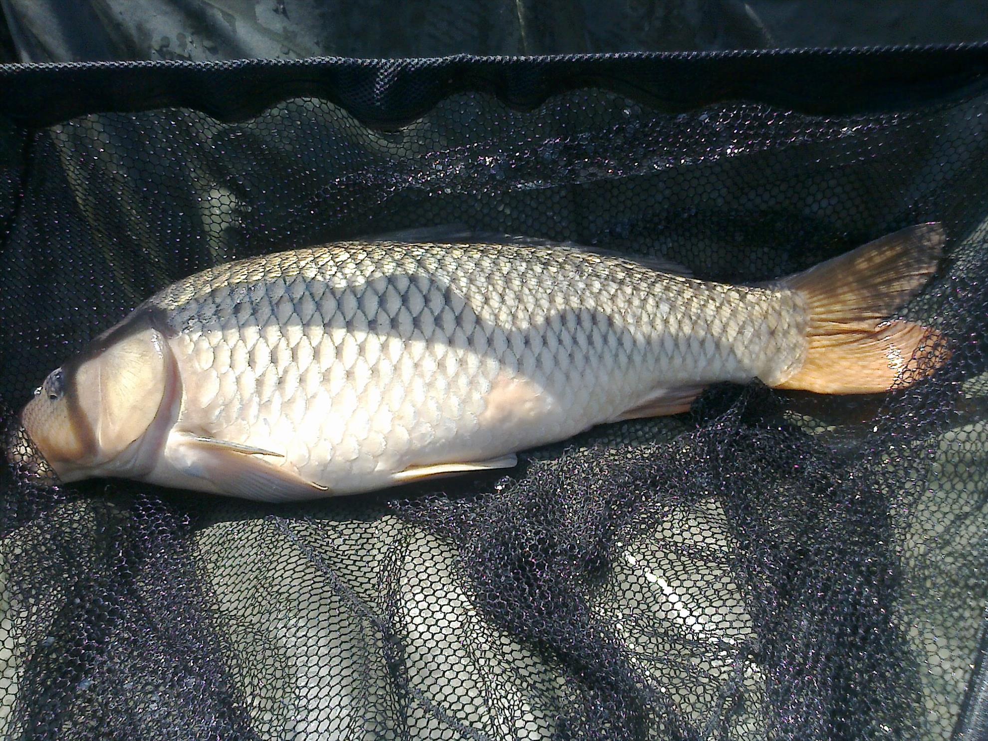 MV 2 - 25.SEPT.2014 - fotografie0007.jpg